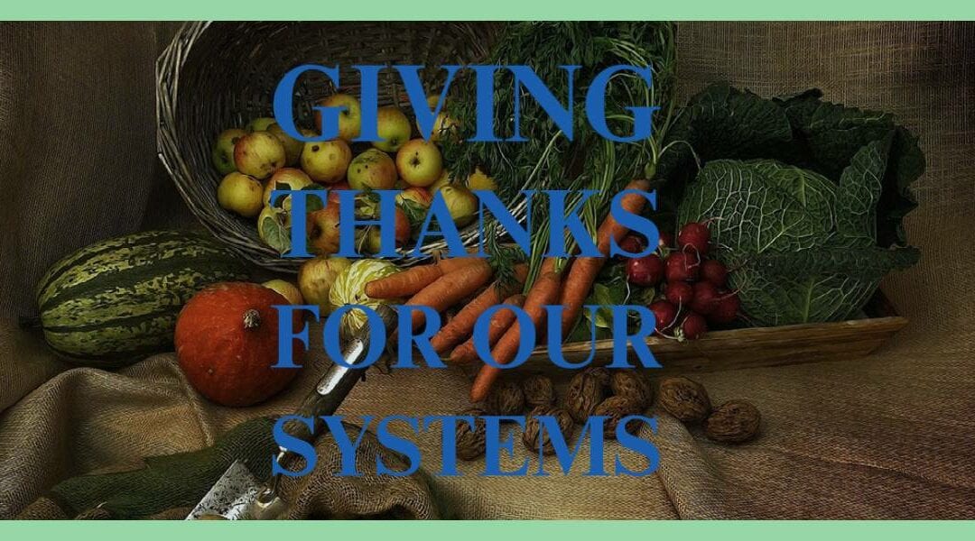 Giving Thanks for Our Heating & Cooling Systems