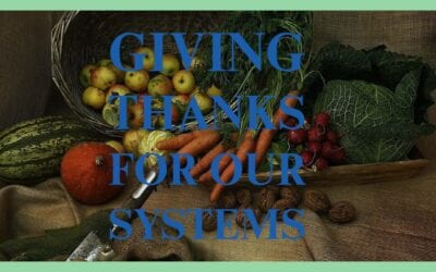 Giving Thanks for Our Heating & Cooling Systems